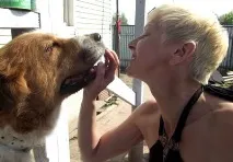 ВІД ЖИТТЯ СОБАЧОГО… Єгор’ївський кур’єр собачого