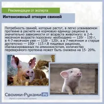 свине най-ефективно
