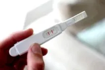 Овуляція при клімаксі дозрівання яйцеклітини в менопаузі 👩👶 менопаузі
