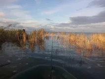 uelgi езера
