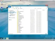 Windows