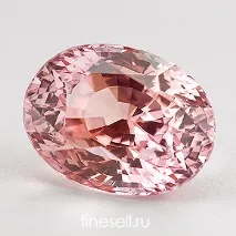 падпарадша хиляди долара