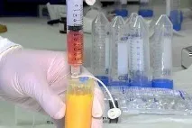 мазнини трансферът