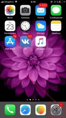 Первинне налаштування Mango Talker для iOS - Mango Talker для iOS Крок