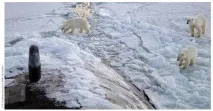 підводних