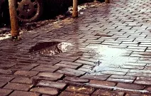 Чому піднялася тротуарна плитка - Завод ЗБВ плитка
