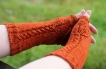 платени платени