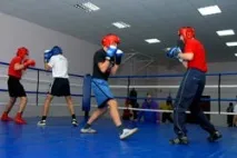 динамо спортен