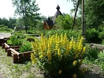 Поїздка до Дівєєва — Україна - Паломництво дівєєва