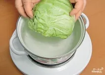 гъби гъби