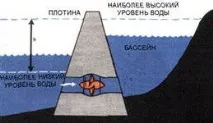 техните техните