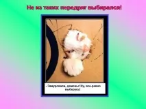 Презентація на тему - Про котів та кішечок - невідсортовані, на різні теми для 5 класу різні