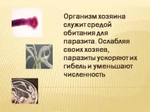 хранят темата
