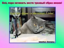 Презентація на тему - Про котів та кішечок - невідсортовані, на різні теми для 5 класу різні