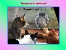 Презентація на тему - Про котів та кішечок - невідсортовані, на різні теми для 5 класу кішечок