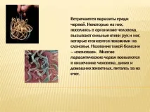 хранят презентация