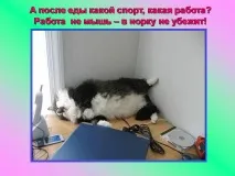 Презентація на тему - Про котів та кішечок - невідсортовані, на різні теми для 5 класу тему