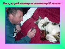 Презентація на тему - Про котів та кішечок - невідсортовані, на різні теми для 5 класу презентація
