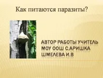 хранят презентация