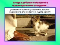 Презентація на тему - Про котів та кішечок - невідсортовані, на різні теми для 5 класу котів