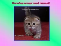 Презентація на тему - Про котів та кішечок - невідсортовані, на різні теми для 5 класу різні