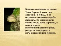 хранят хранят