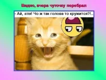 Презентація на тему - Про котів та кішечок - невідсортовані, на різні теми для 5 класу тему