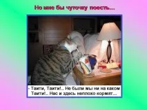 Презентація на тему - Про котів та кішечок - невідсортовані, на різні теми для 5 класу тему