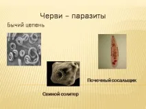 темата хранят