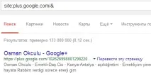 Про Google supplemental index «site