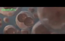 Дейвид пита клетките продължават