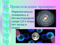 прокариотите произходът