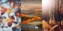 осінь