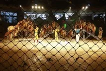 10 Найдивніших тваринницьких ферм у світі ферм