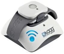 7 кращих нашийників для кішок – рейтинг 2018 2018