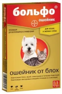 7 кращих нашийників для кішок – рейтинг 2018 кішок