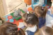 приятели Децата разглеждат