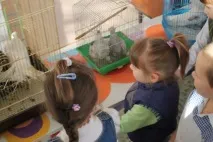 Децата разглеждат гълъба галят
