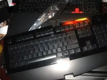 Razer Arctosa Razer