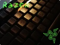 Razer Arctosa arctosa