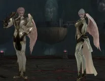 Раси в Lineage 2 lineage