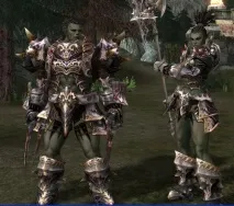 Раси в Lineage 2 якщо