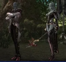Раси в Lineage 2 lineage