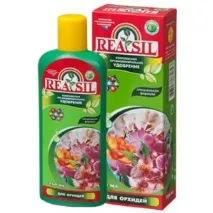 месеца През reasil