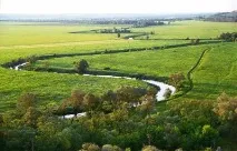 Річка Тиха Сосна Опис, відпочинок, фото тиха