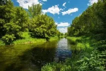 Річка Тиха Сосна Опис, відпочинок, фото тиха