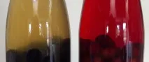 Рецепти, що приготувати з|із| слив пиріг і соус, зберігання рецепти