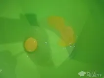 пиле тиган