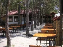 рибаковка рибаковка