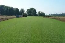 ділянки